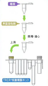 MP-前処理(喀痰).jpg
